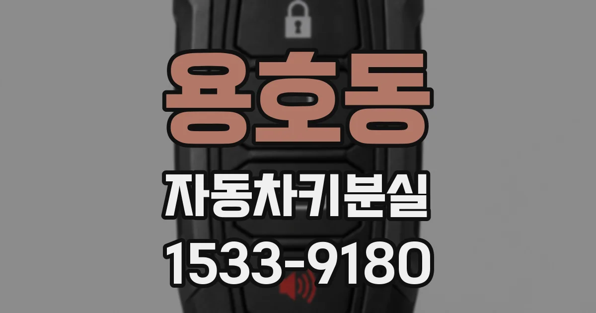 용호동 자동차키분실