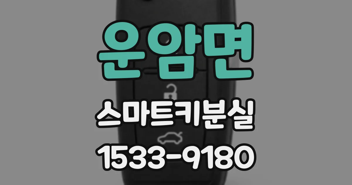 운암면 스마트키분실