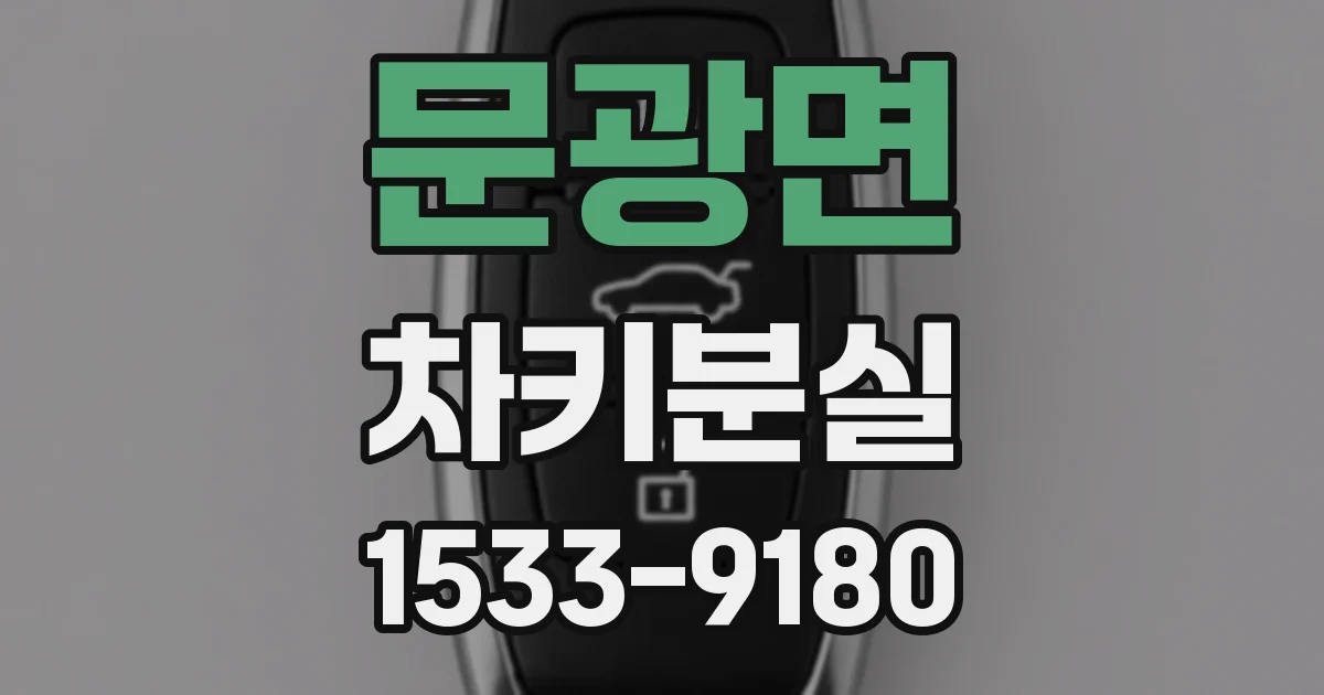문광면 차키분실