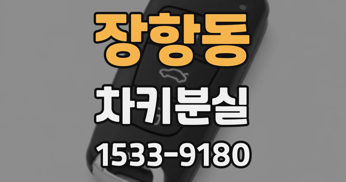 장항동 차키분실