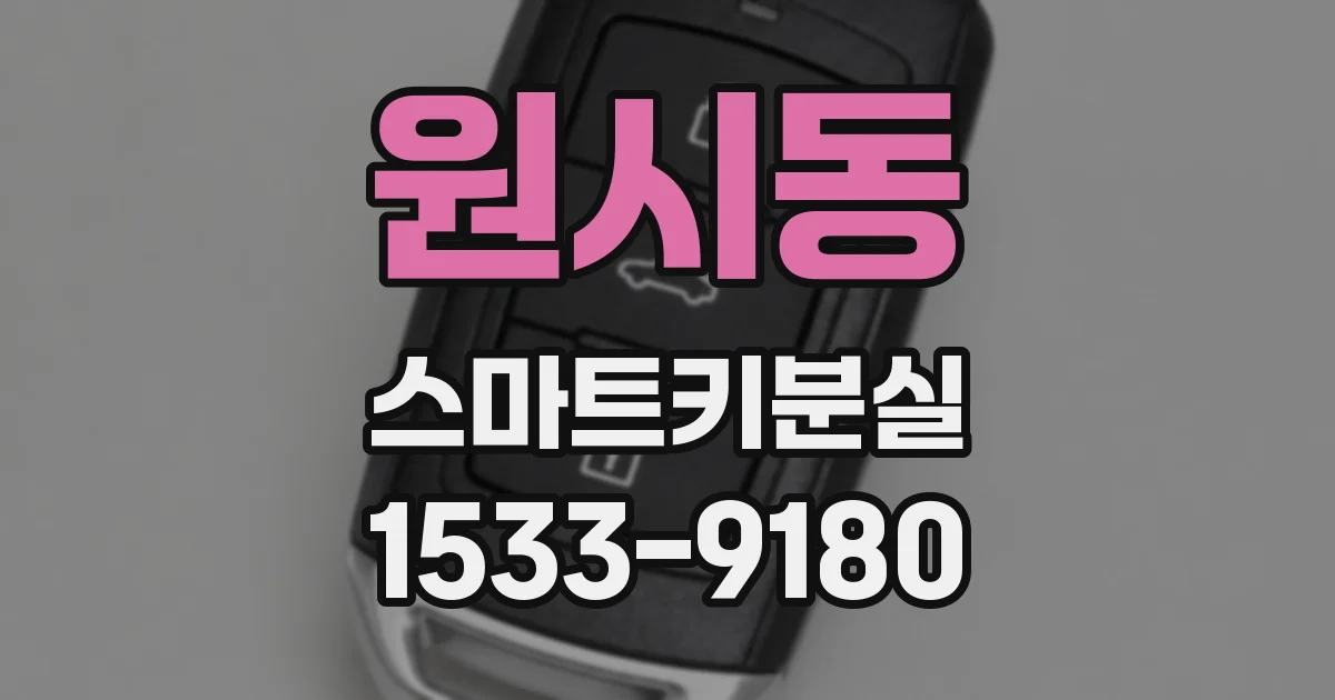 원시동 스마트키분실