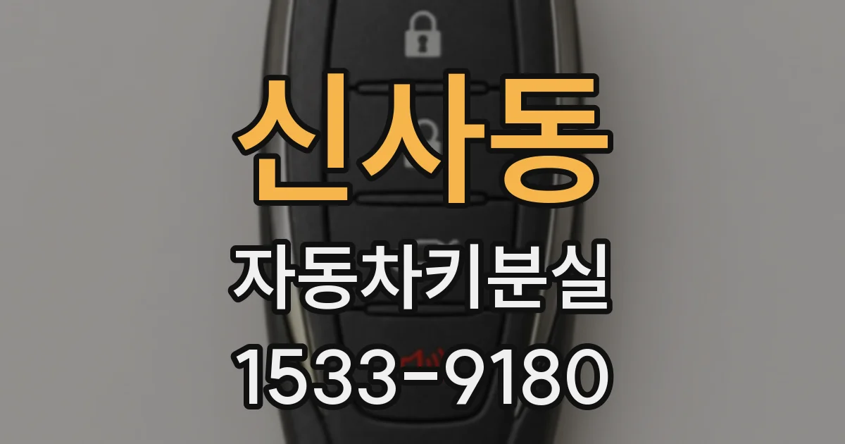 신사동 자동차키분실