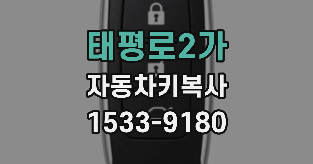 태평로2가 자동차키복사