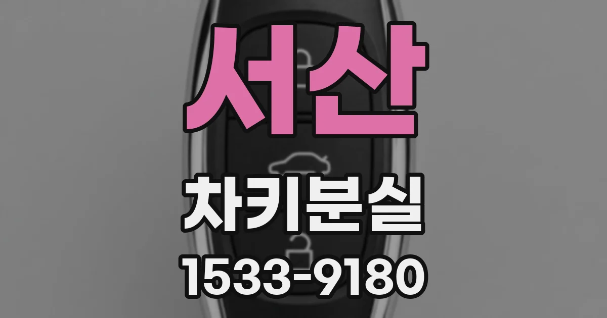 서산 차키분실