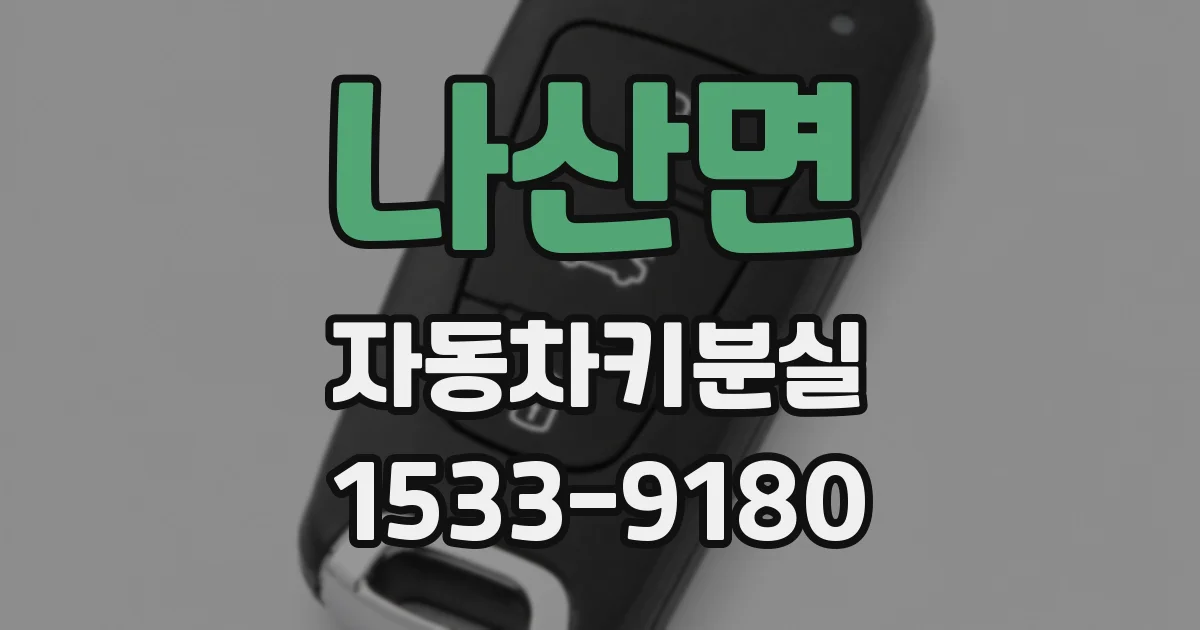 나산면 자동차키분실