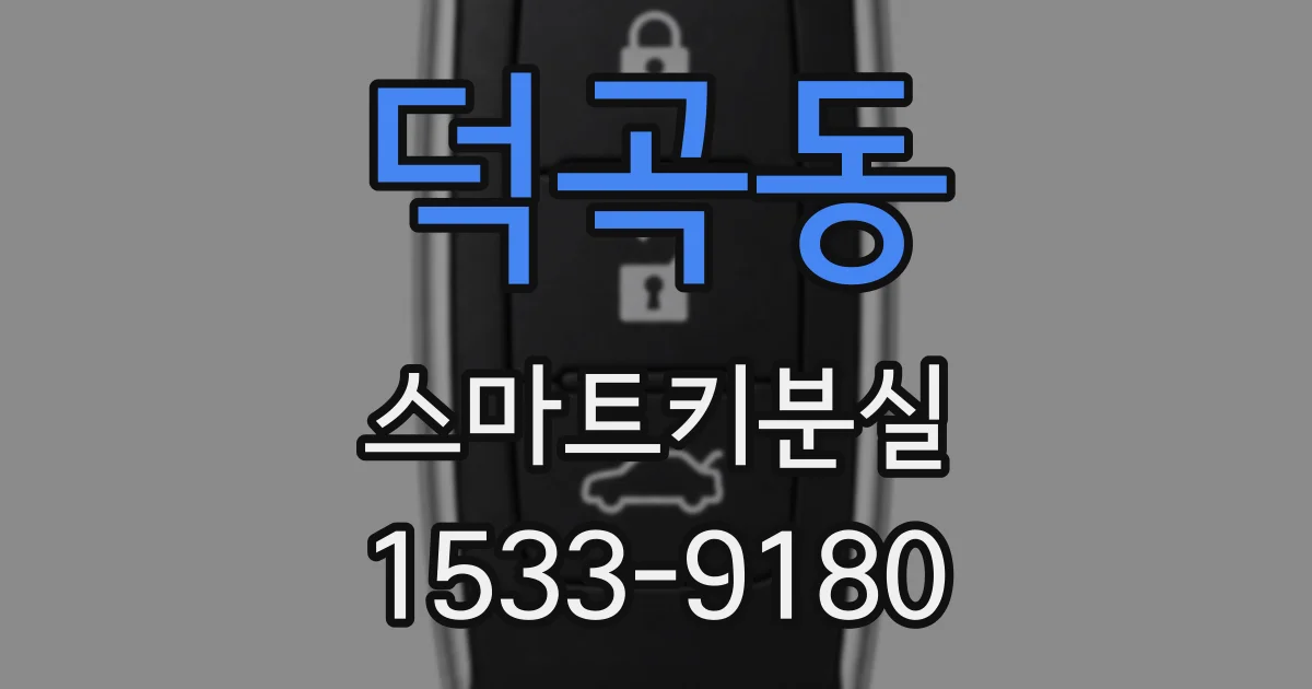 덕곡동 스마트키분실