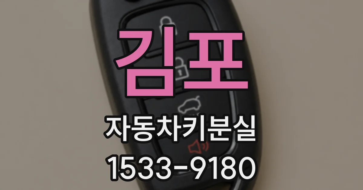 김포 자동차키분실
