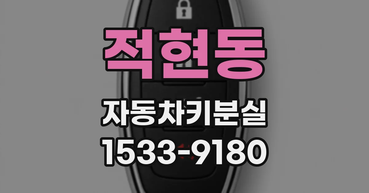 적현동 자동차키분실