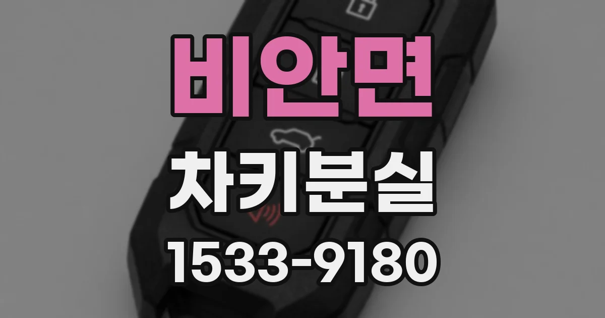 비안면 차키분실