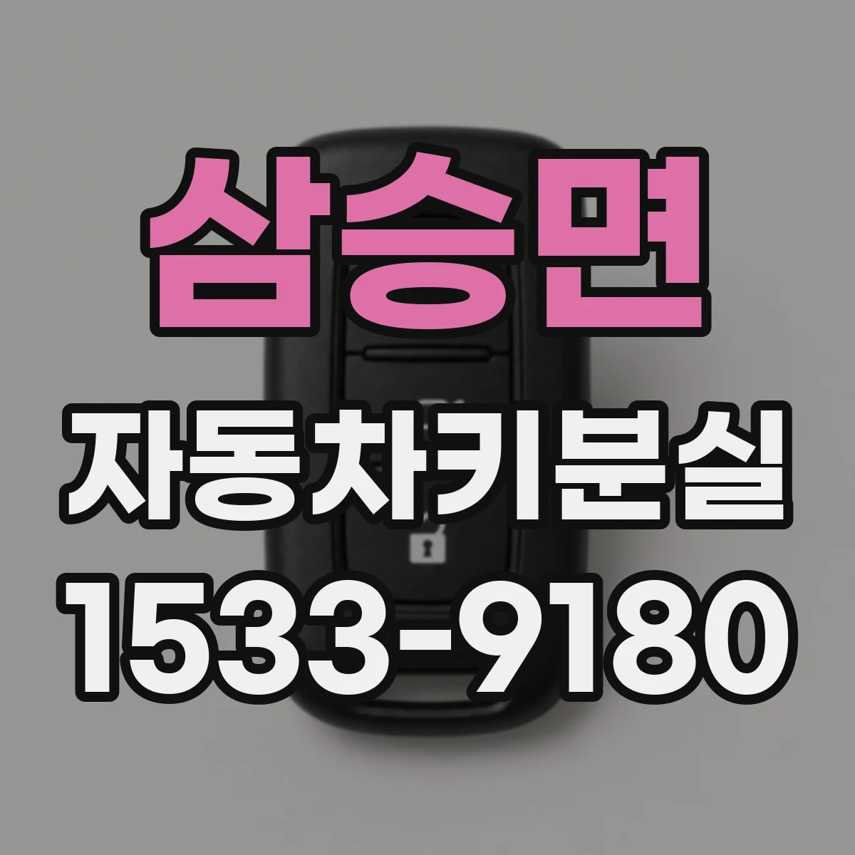 삼승면 자동차키분실