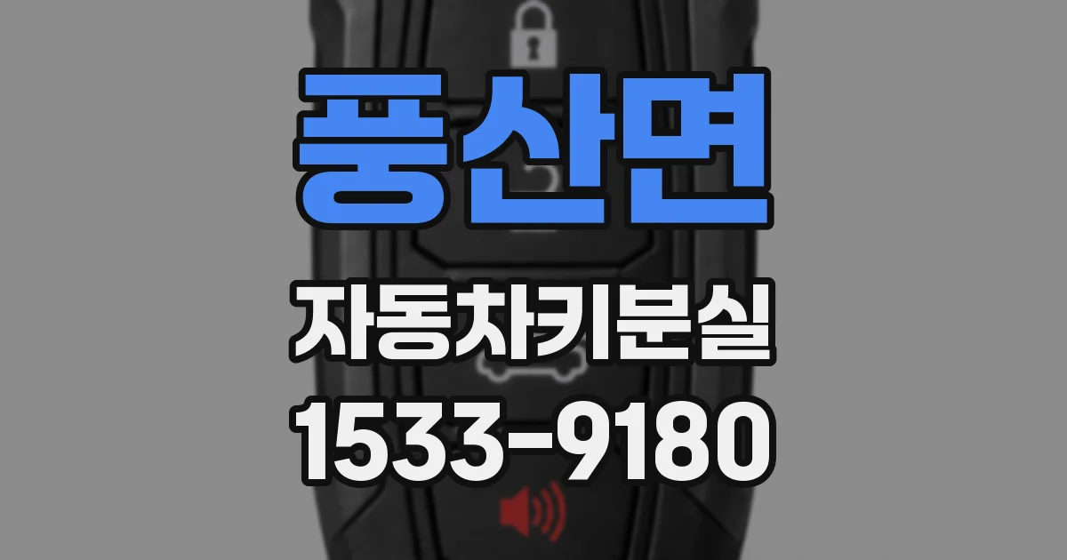 풍산면 자동차키분실