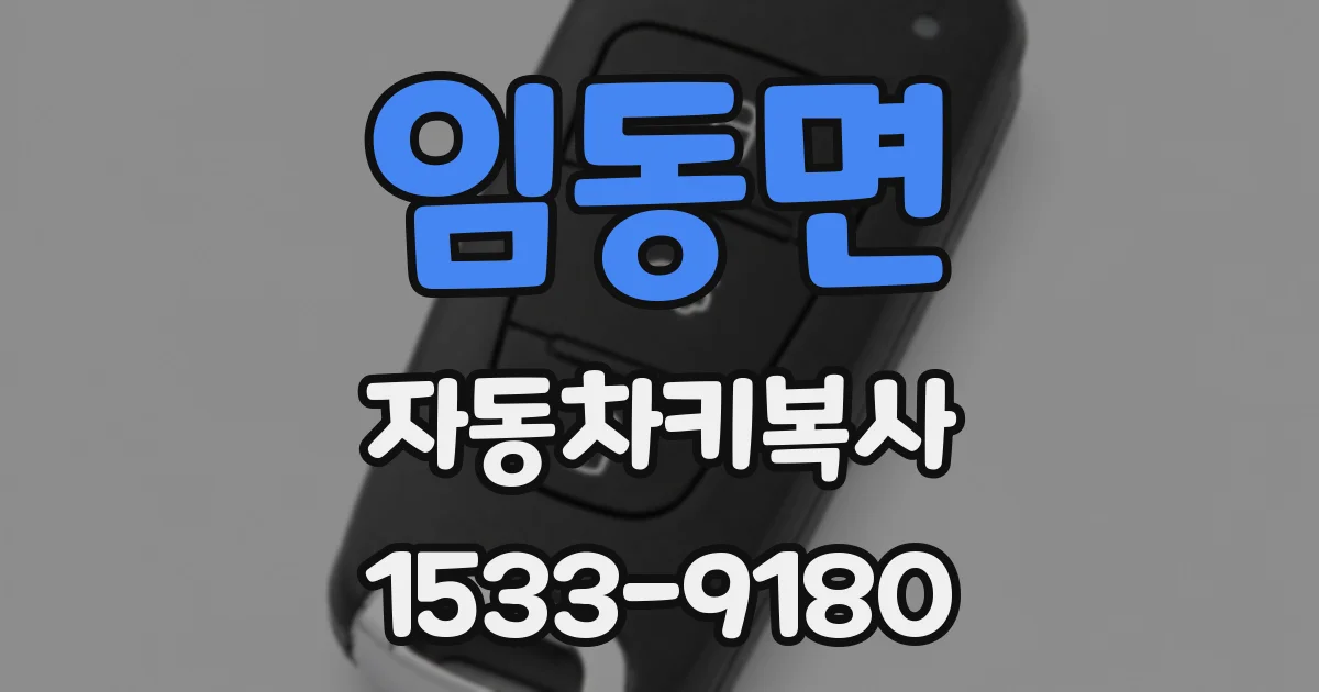 임동면 자동차키복사
