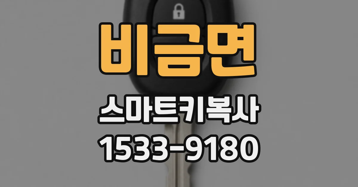 비금면 스마트키복사