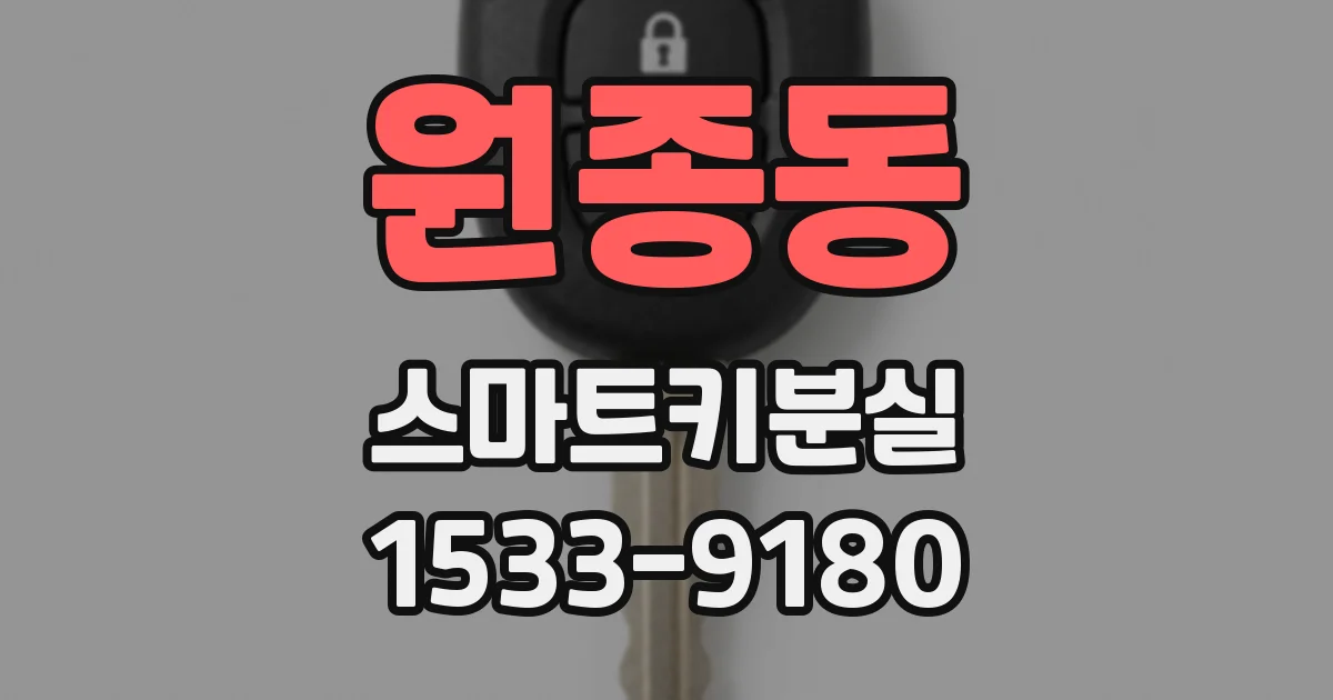 원종동 스마트키분실