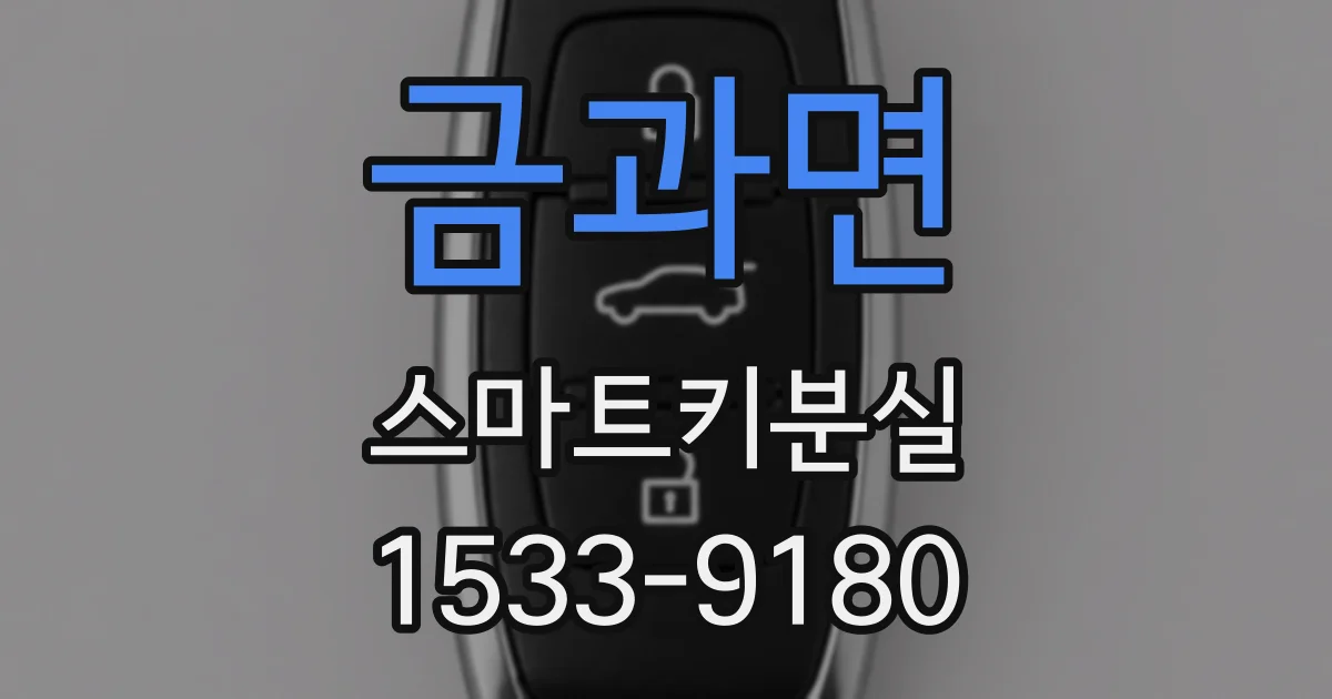 금과면 스마트키분실