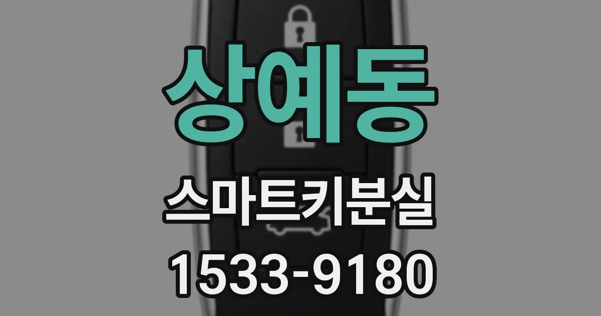 상예동 스마트키분실