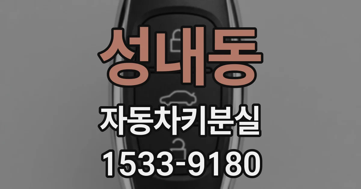 성내동 자동차키분실