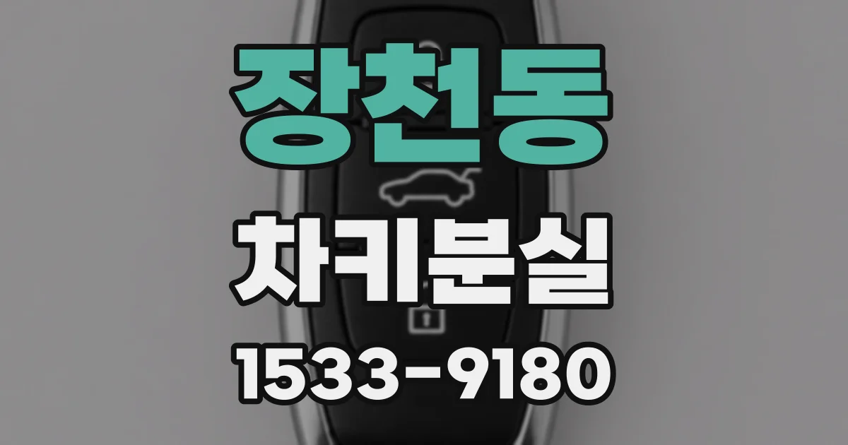 장천동 차키분실