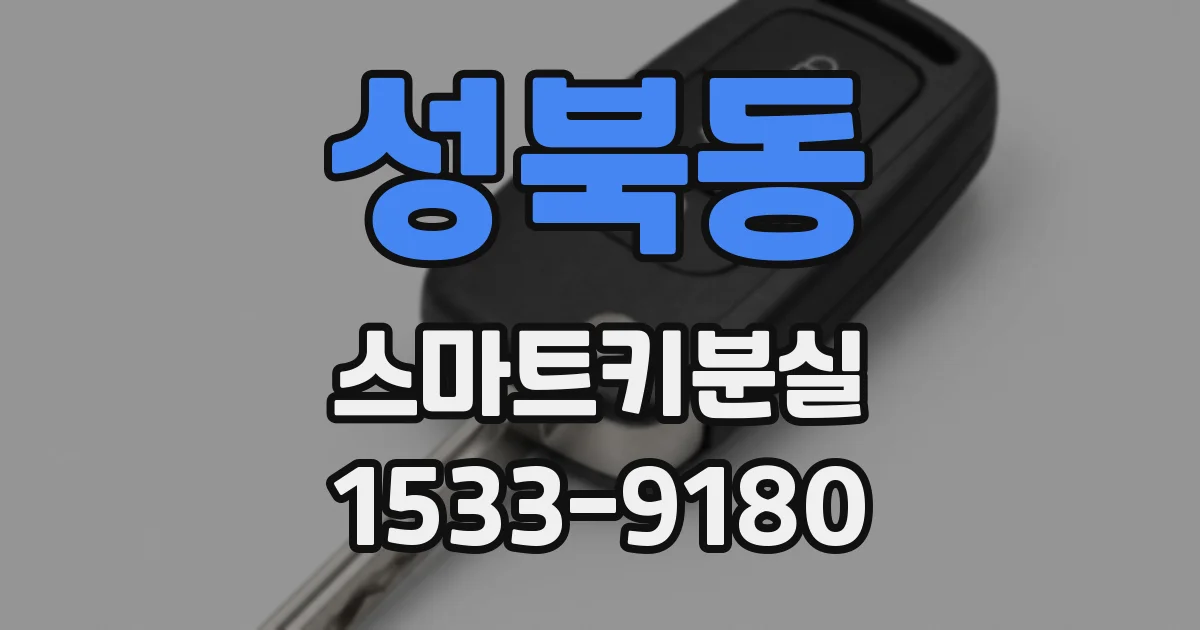 성북동 스마트키분실