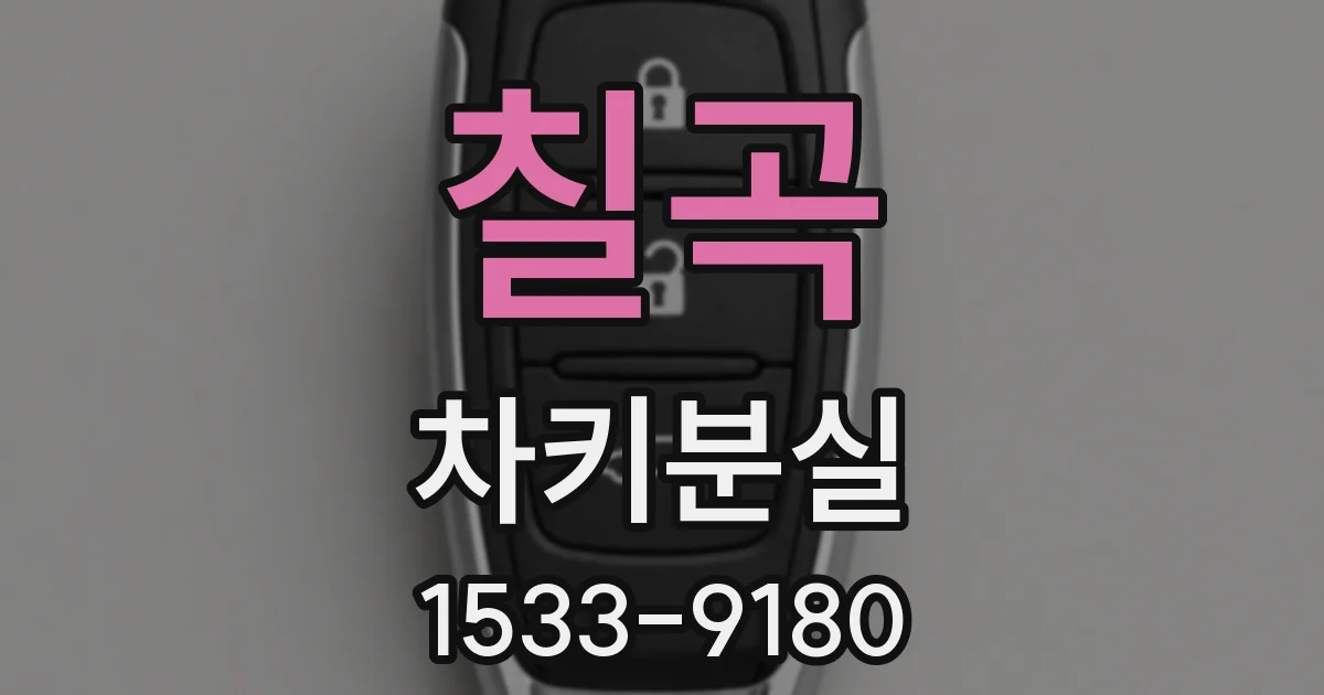 칠곡 차키분실