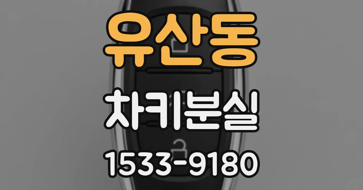 유산동 차키분실