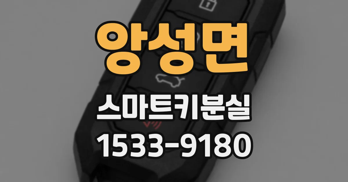 앙성면 스마트키분실