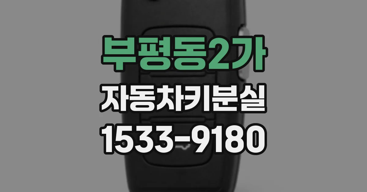 부평동2가 자동차키분실