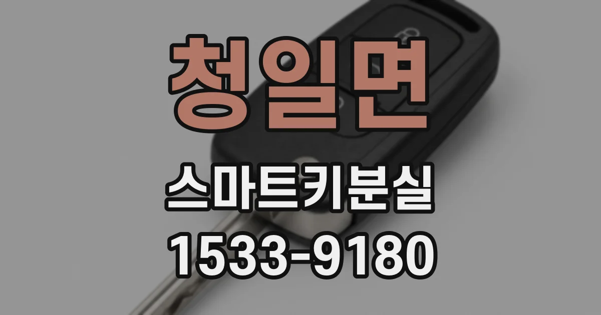 청일면 스마트키분실
