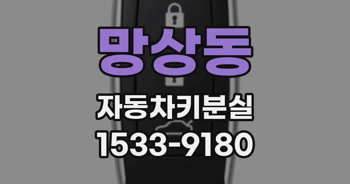 망상동 자동차키분실
