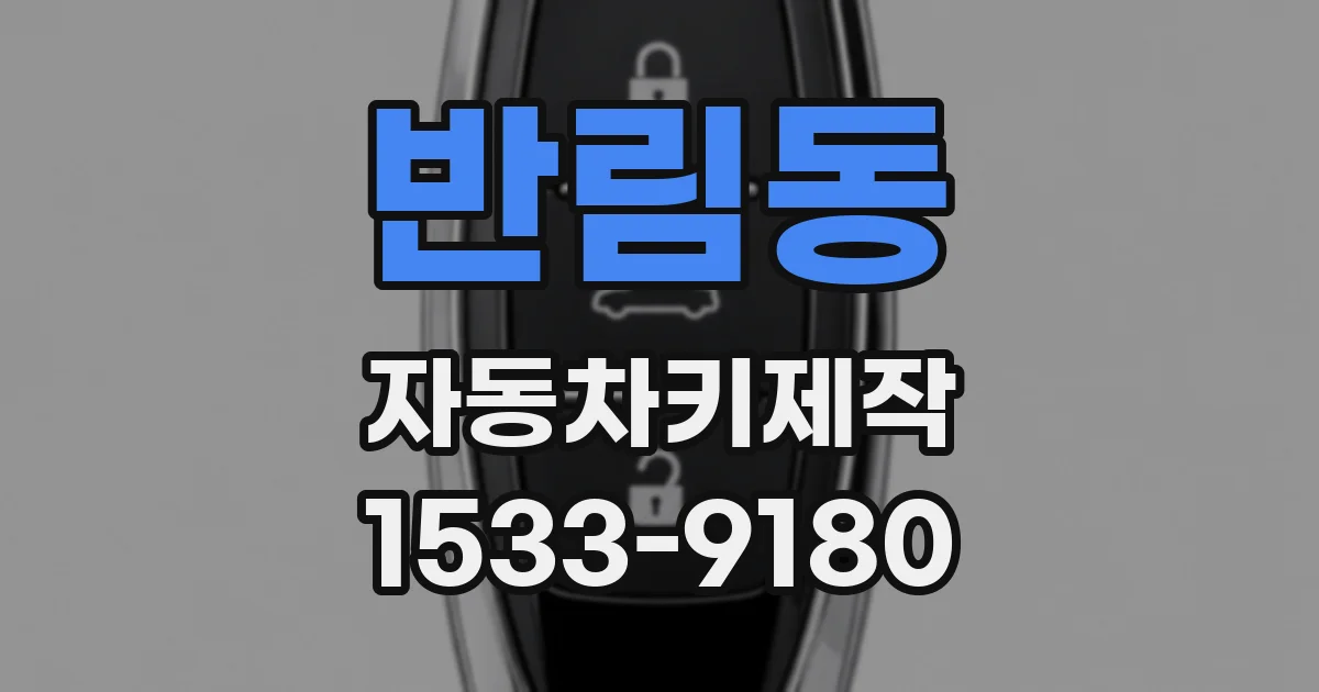 반림동 자동차키제작