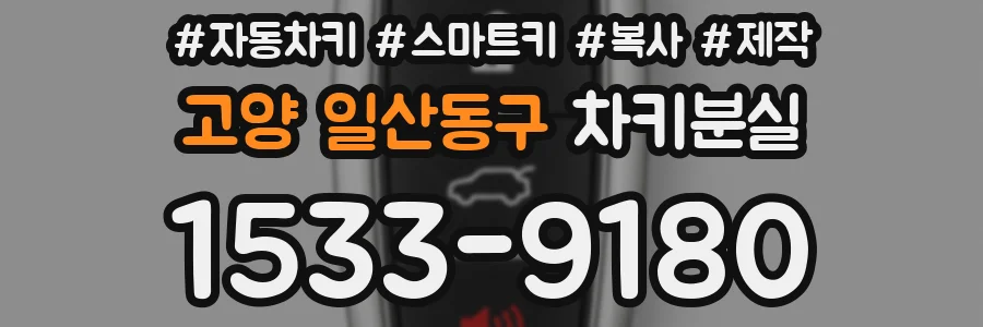 고양 일산동구 차키분실