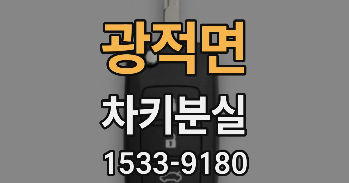 광적면 차키분실