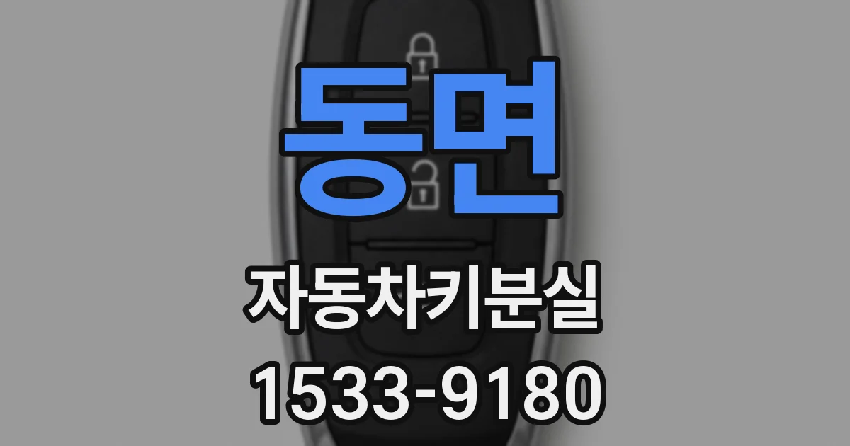 동면 자동차키분실