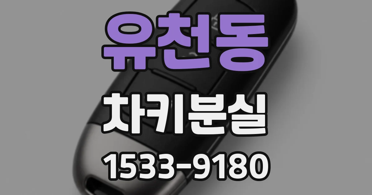 유천동 차키분실