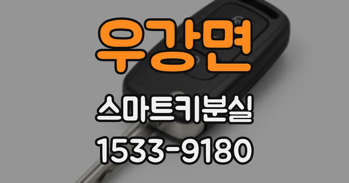 우강면 스마트키분실