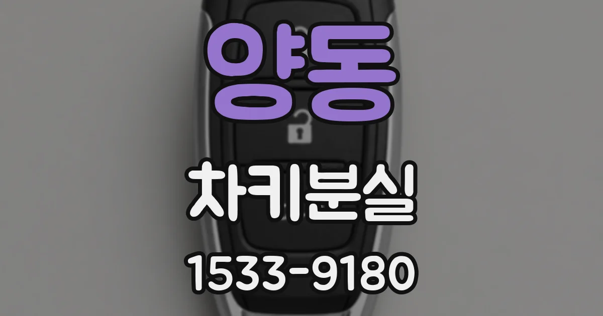 양동 차키분실