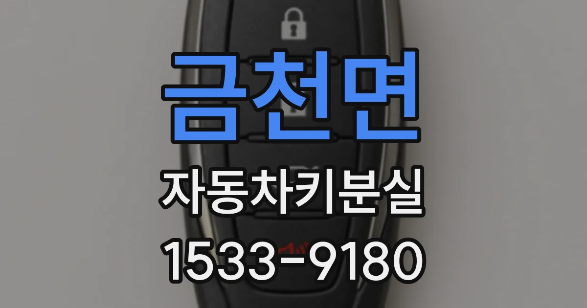 금천면 자동차키분실