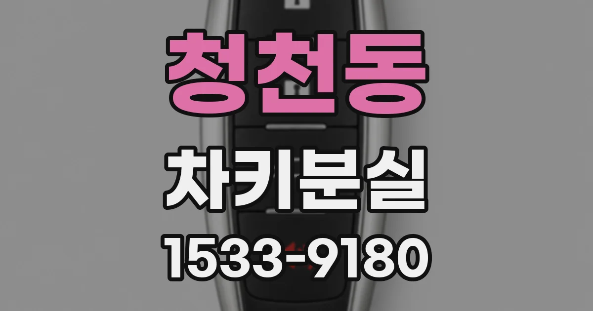 청천동 차키분실