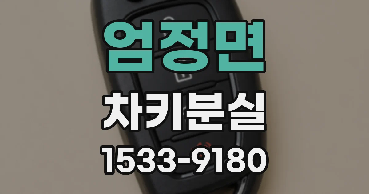 엄정면 차키분실