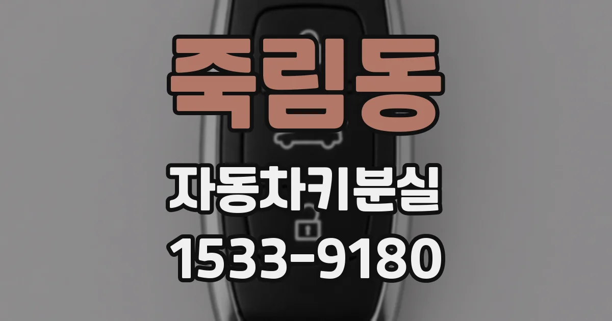 죽림동 자동차키분실
