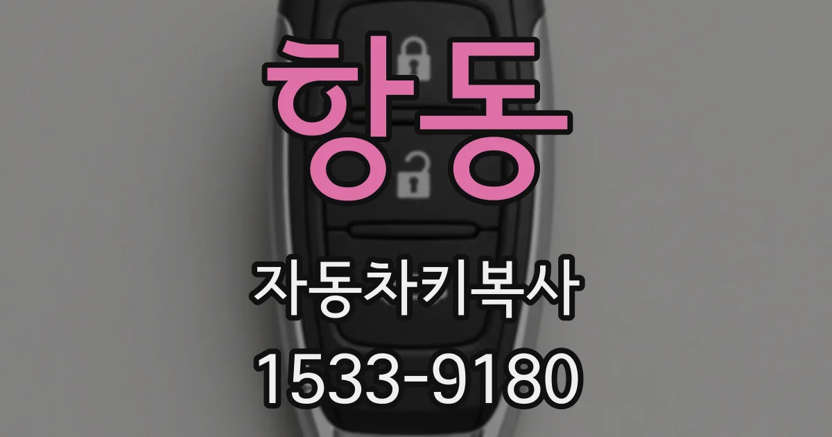 항동 자동차키복사