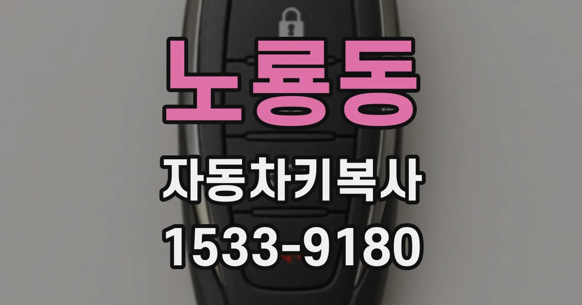 노룡동 자동차키복사