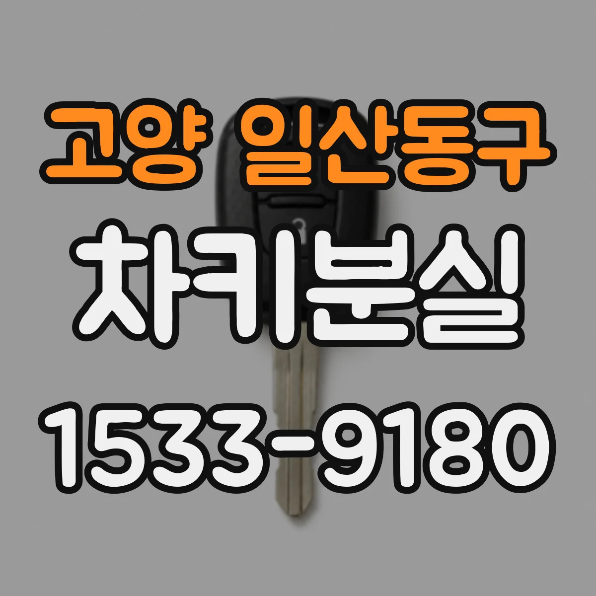고양 일산동구 차키분실
