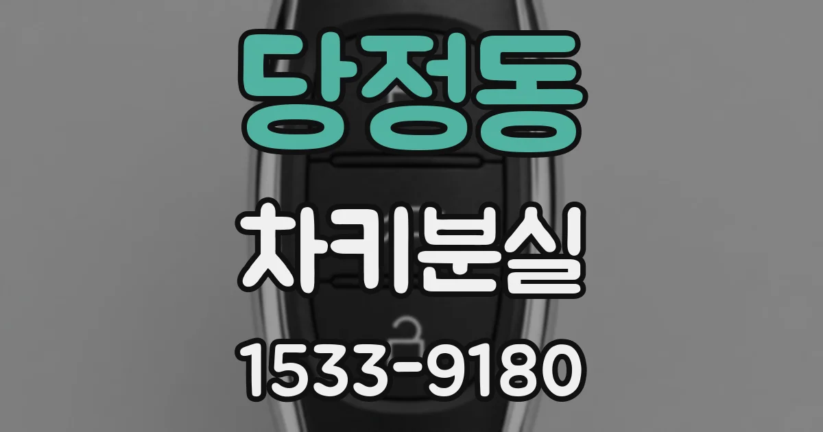 당정동 차키분실