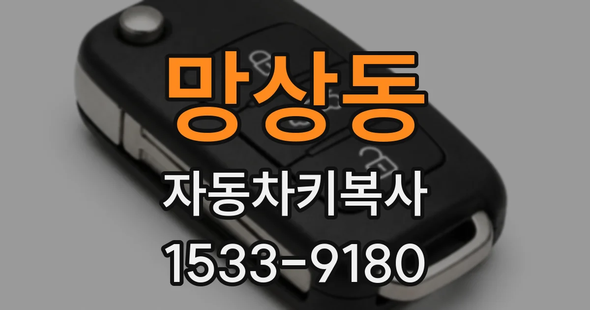 망상동 자동차키복사