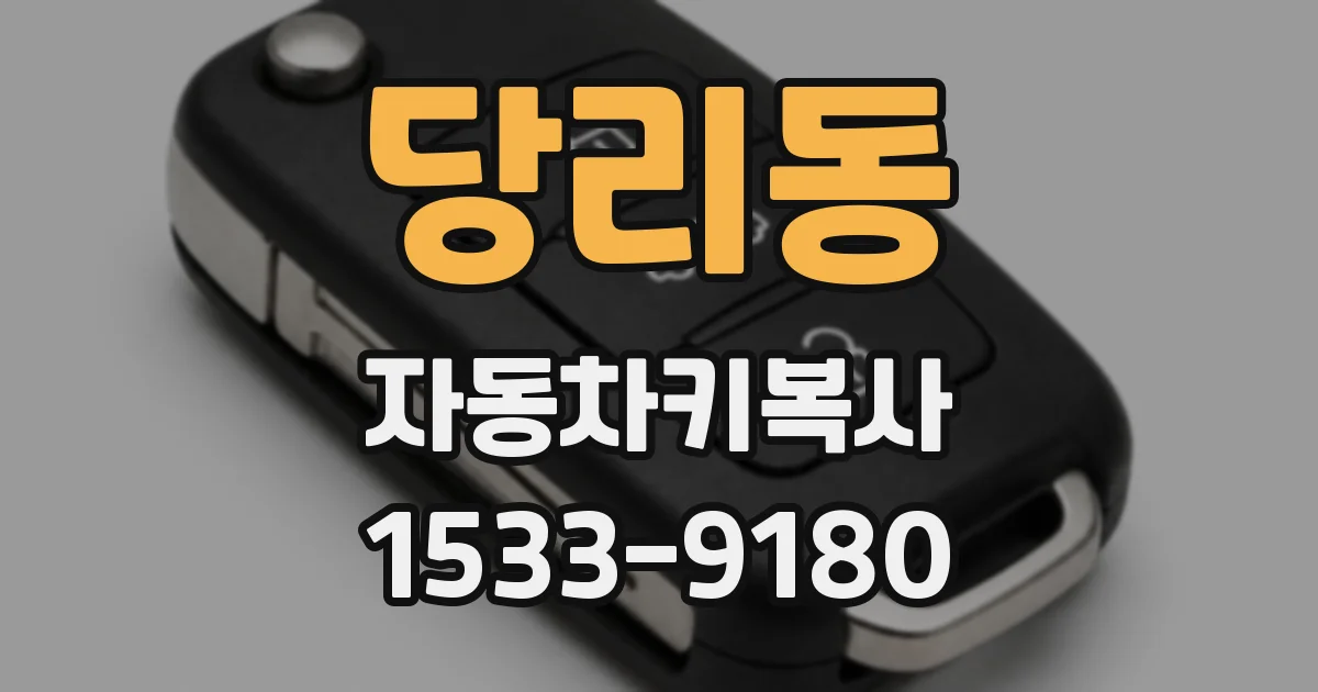 당리동 자동차키복사