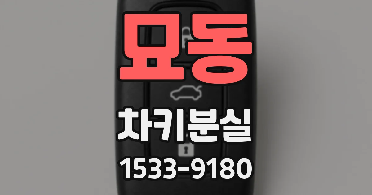 묘동 차키분실