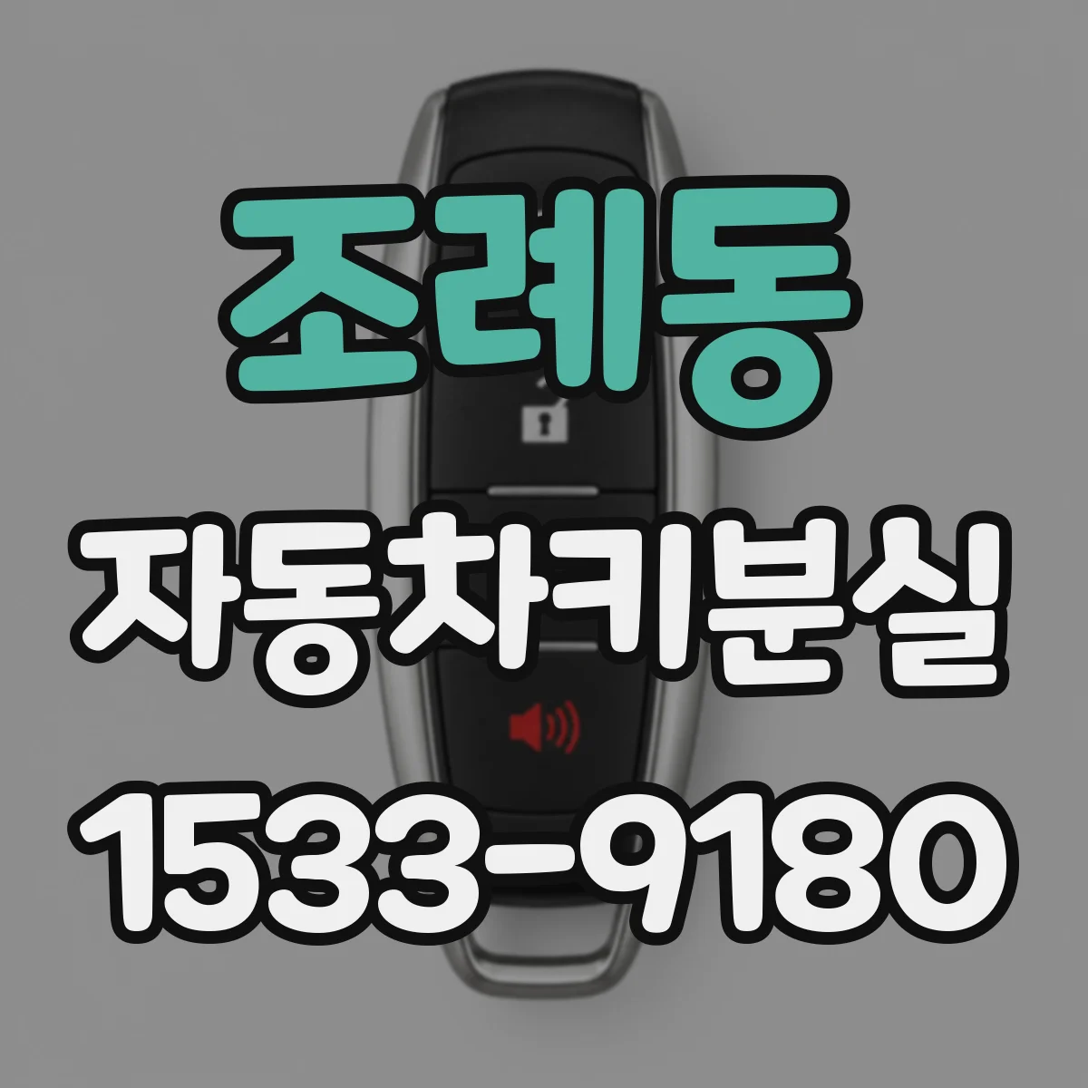 조례동 자동차키분실