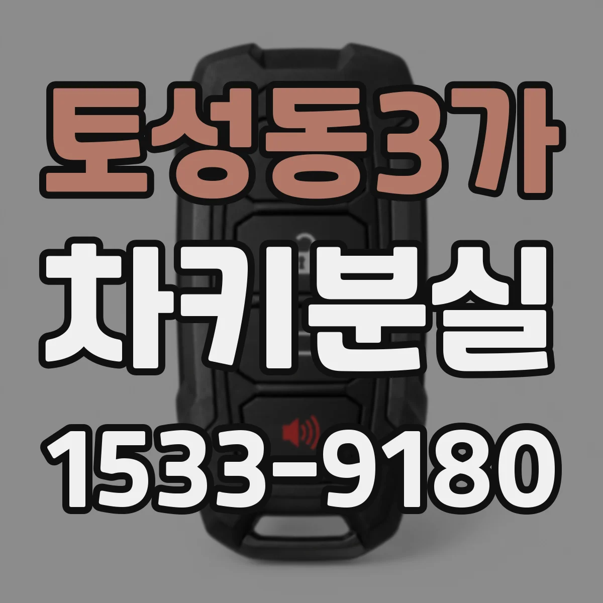 토성동3가 차키분실