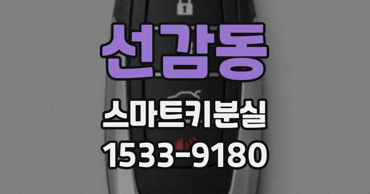 선감동 스마트키분실